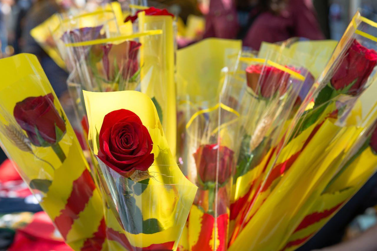 Rosen mit katalanischem Flaggenband. Traditioneller Stil zur Feier am Sant Jordi Tag in Spanien