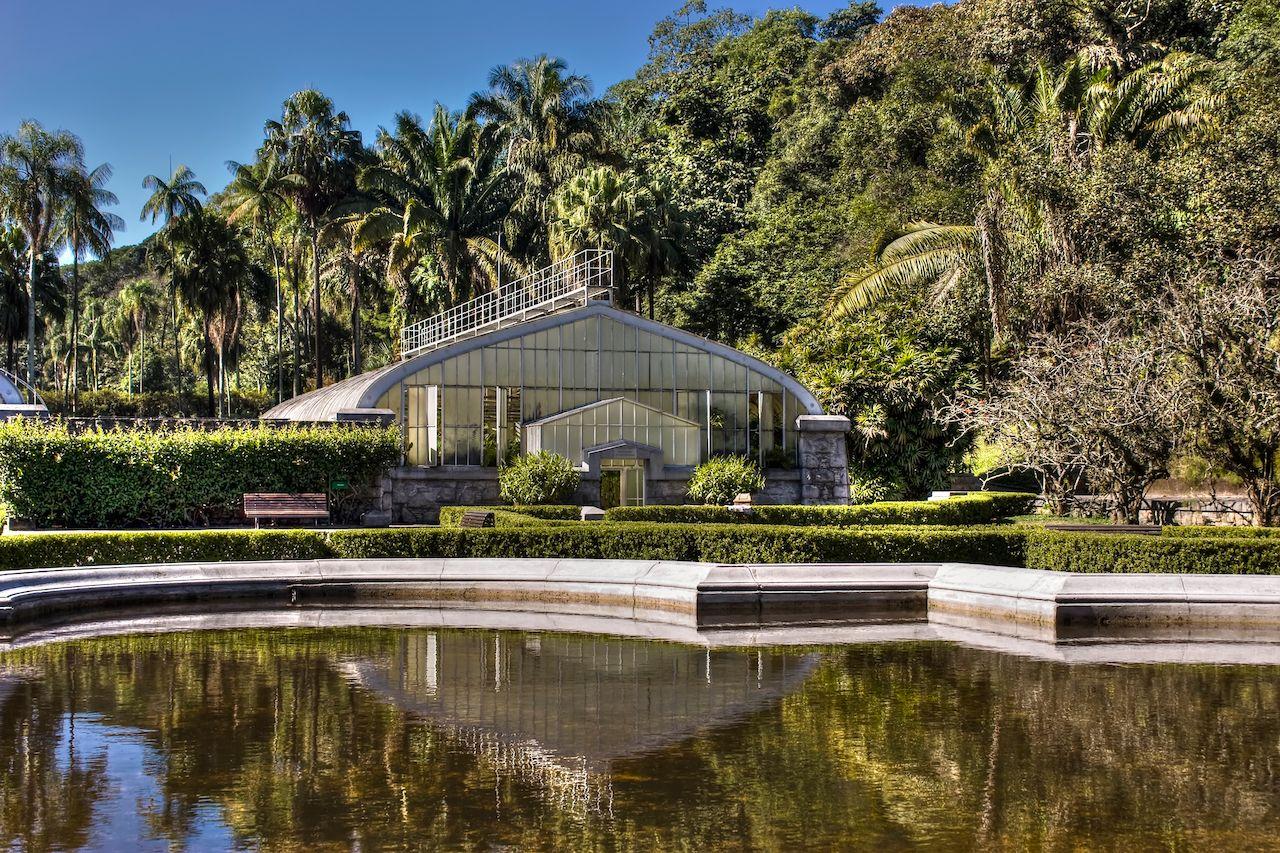 Giardino Botanico di San Paolo, Brasile