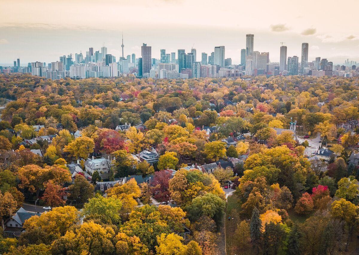 Torontos 10 beste öffentlichen Parks und Gärten