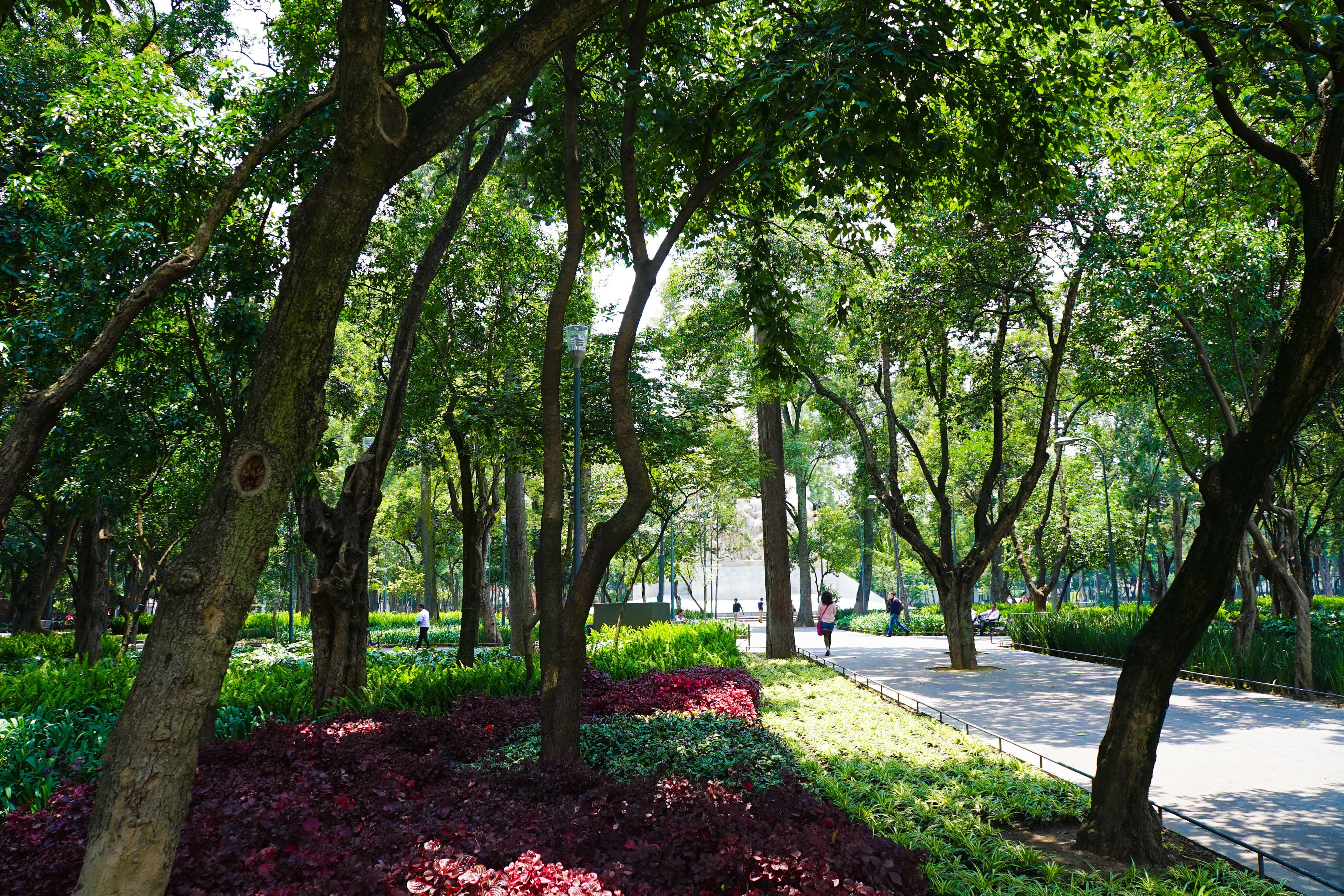 San Angel a Città del Messico