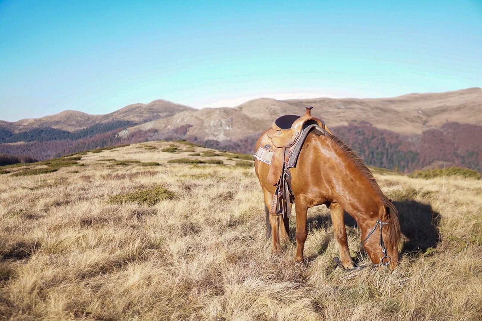 cavalcando a cavallo in Montenegro