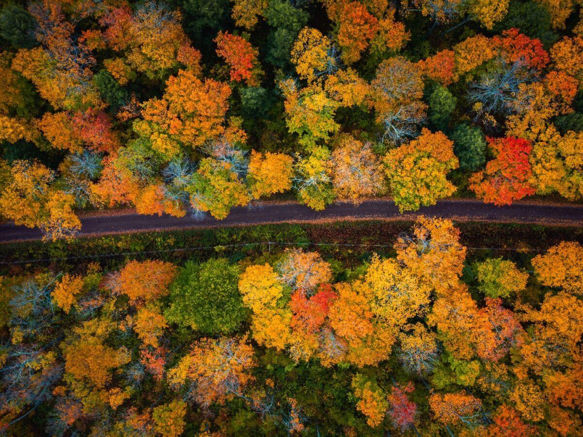 Migliori viaggi stradali autunnali negli USA nella parte superiore del Michigan