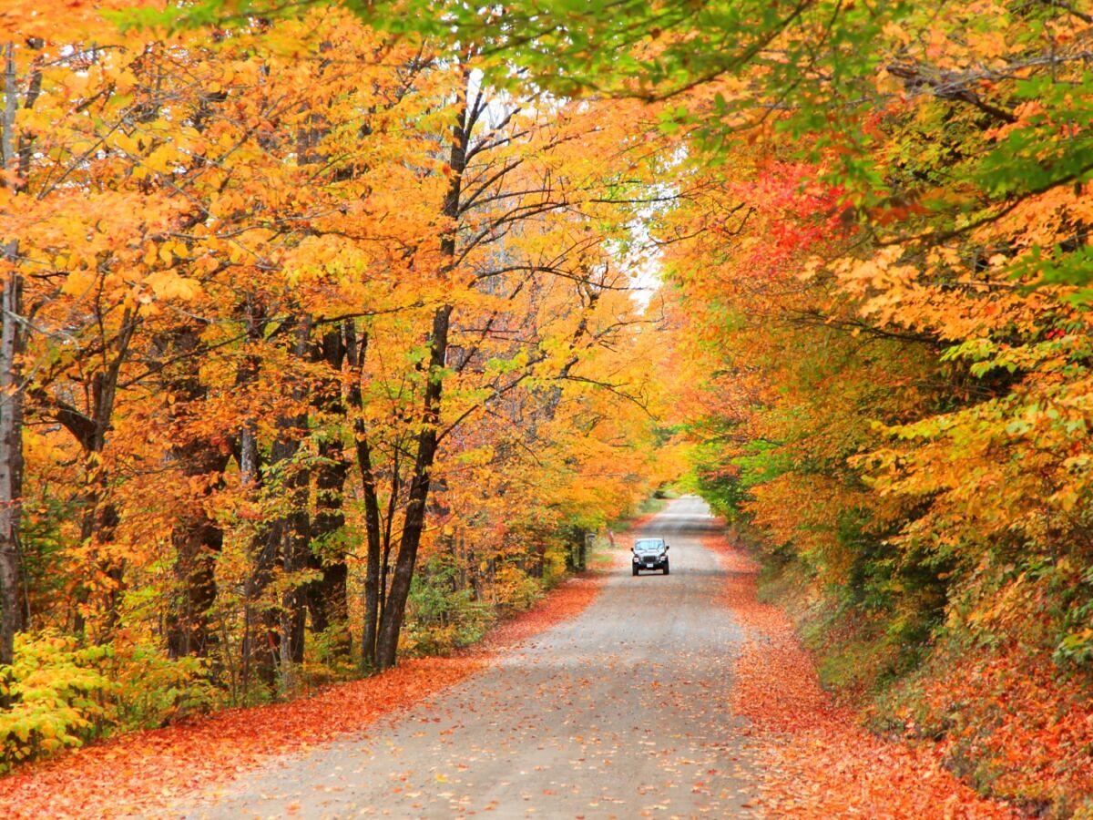 Guidare in scenari dai colori autunnali nel New England