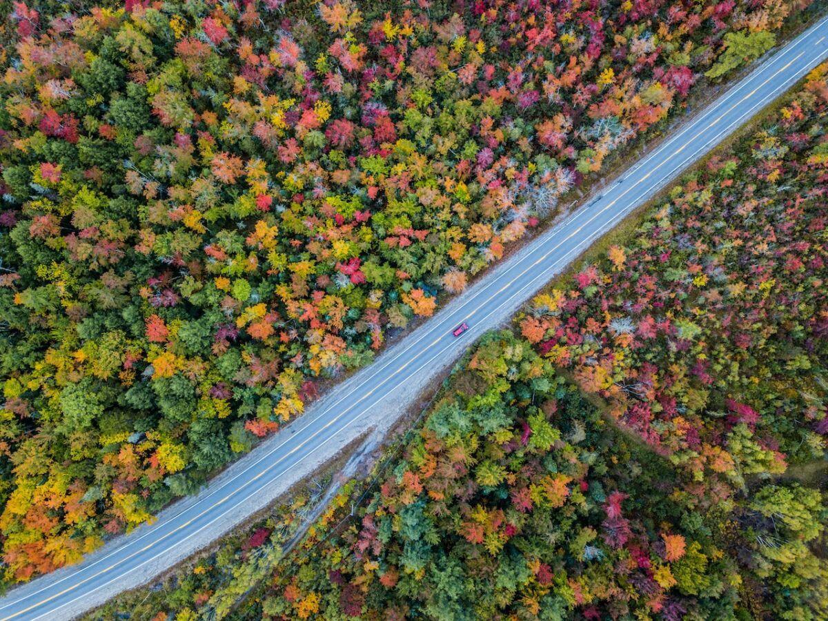 Auto rossa che percorre una strada nel Vermont con foglie autunnali