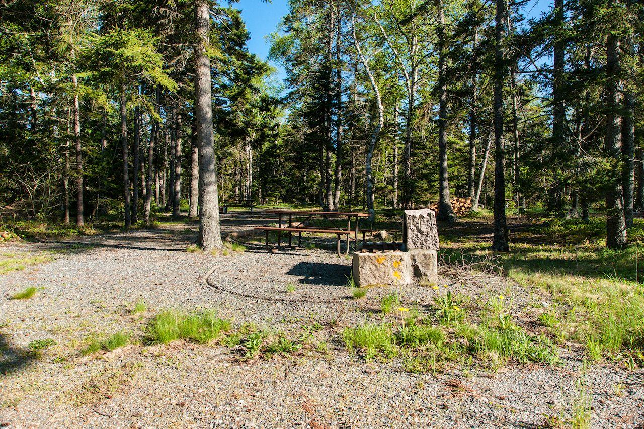 Campo Seawall nel Parco Nazionale di Acadia