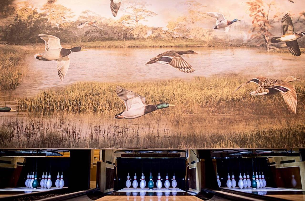 The Painted Duck