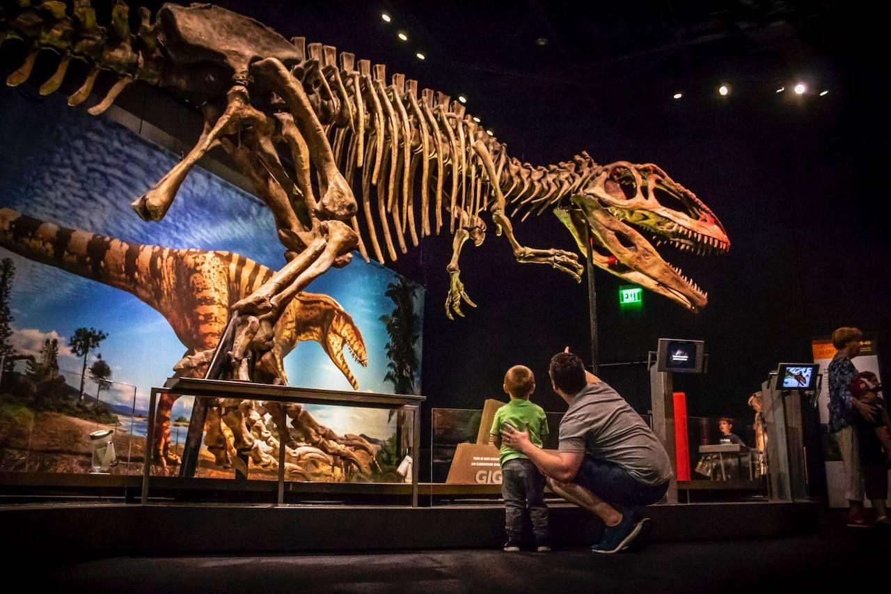 Perot Museum, Dallas