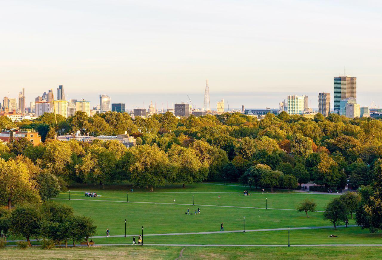 Primrose Hill at sunset