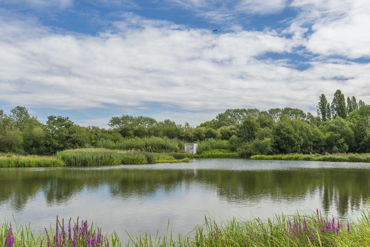 London Wetlands Center