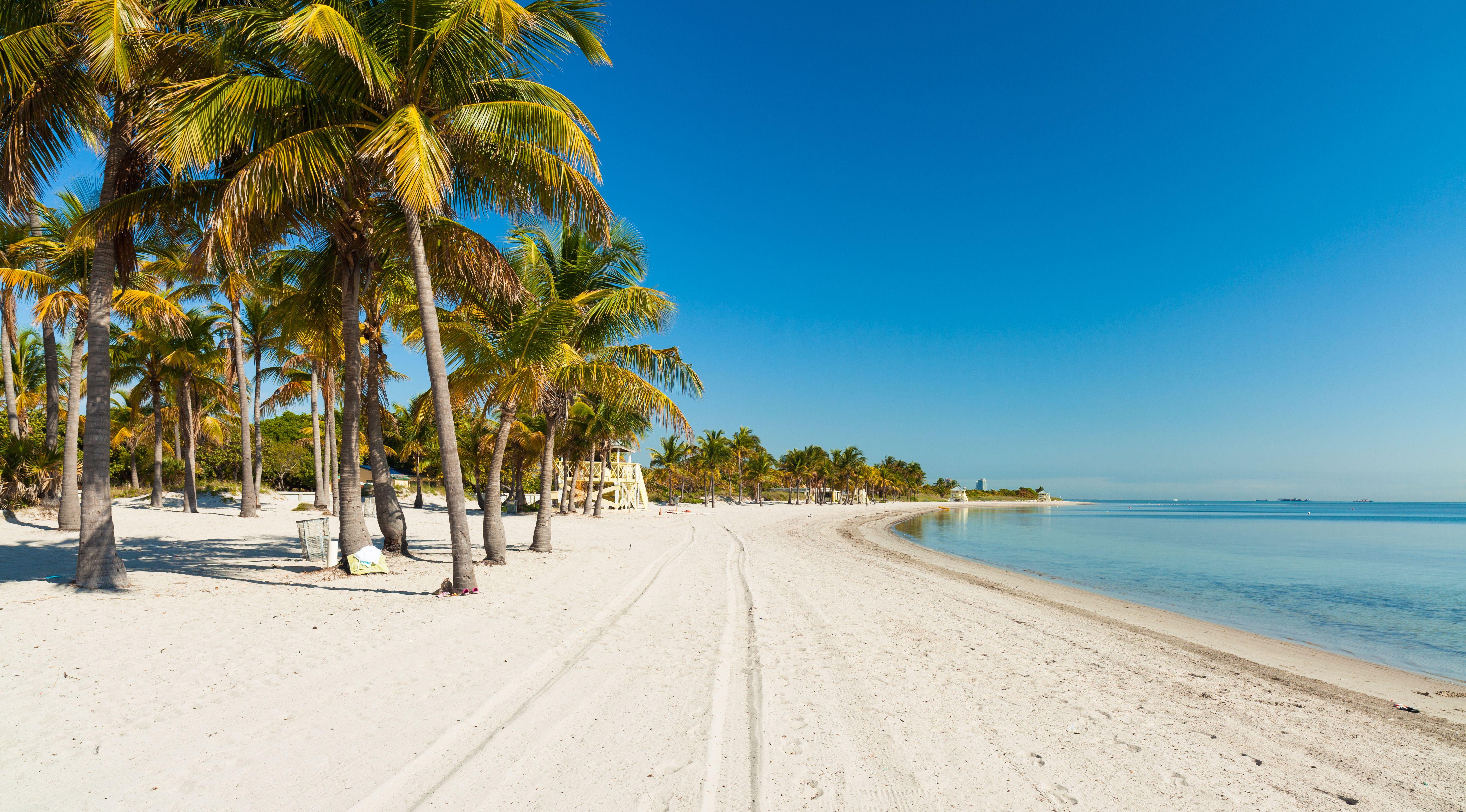 Crandon Park Beach in Key Biscayne, Miami, Florida