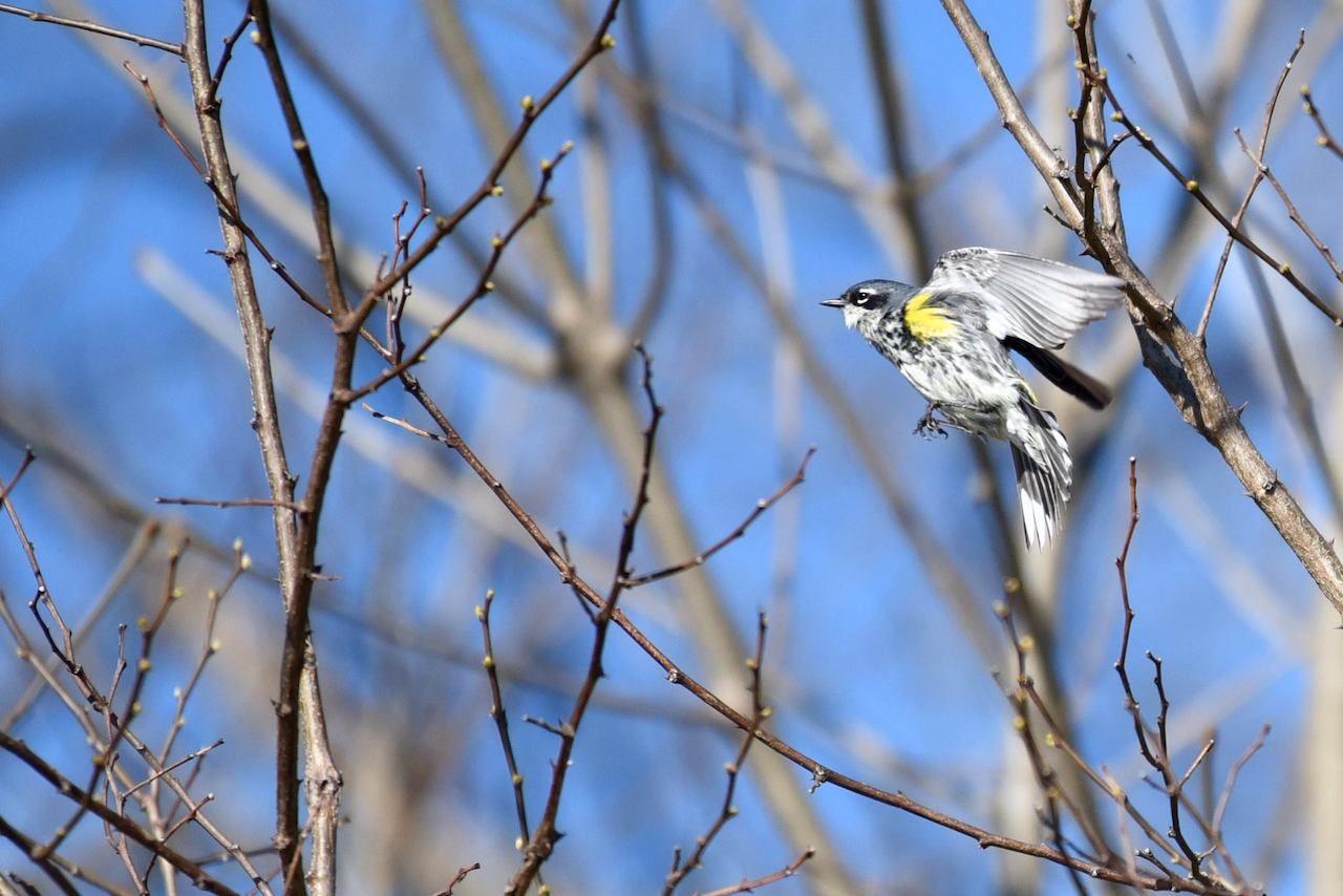 Schlitz Audubon Nature Center