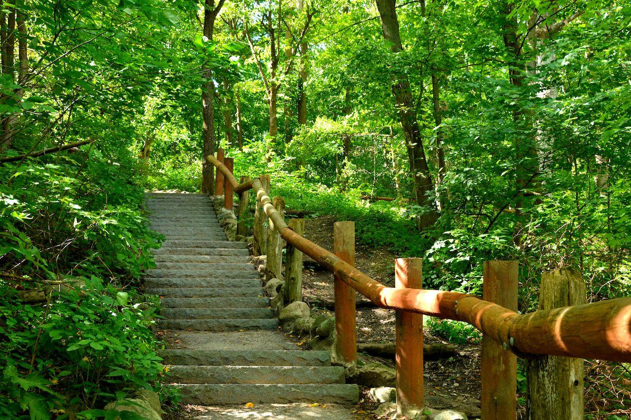 Ein Wanderweg im Grant Park