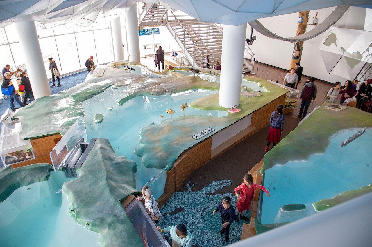 Le piscine a Discovery World