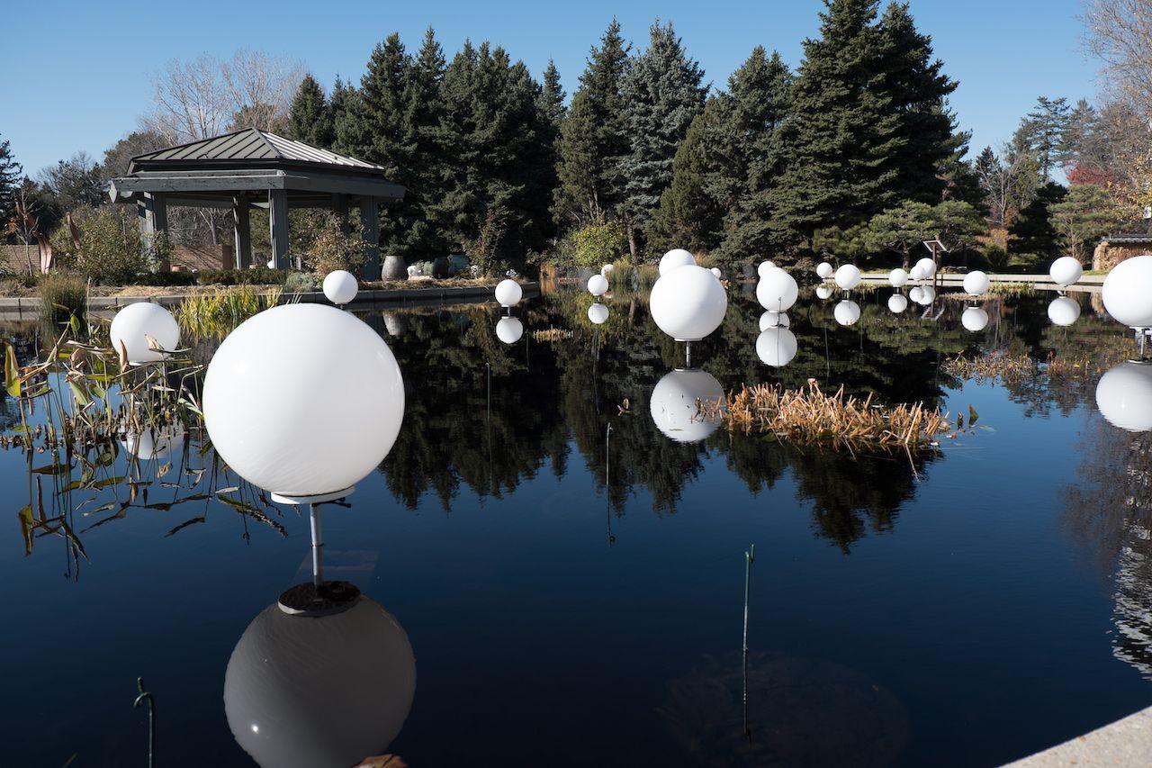 Luci bianche sul laghetto al Giardino Botanico di Denver, Colorado