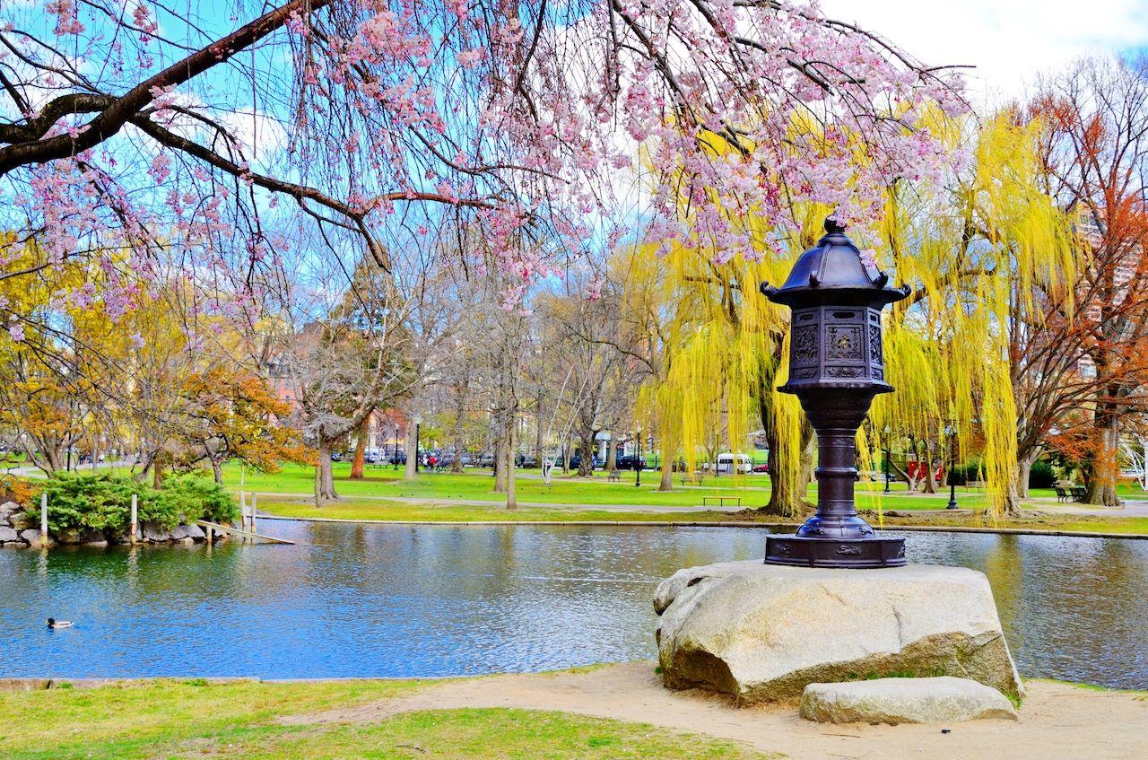 Laguna, Boston