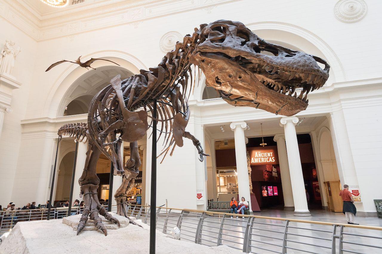 Field Museum