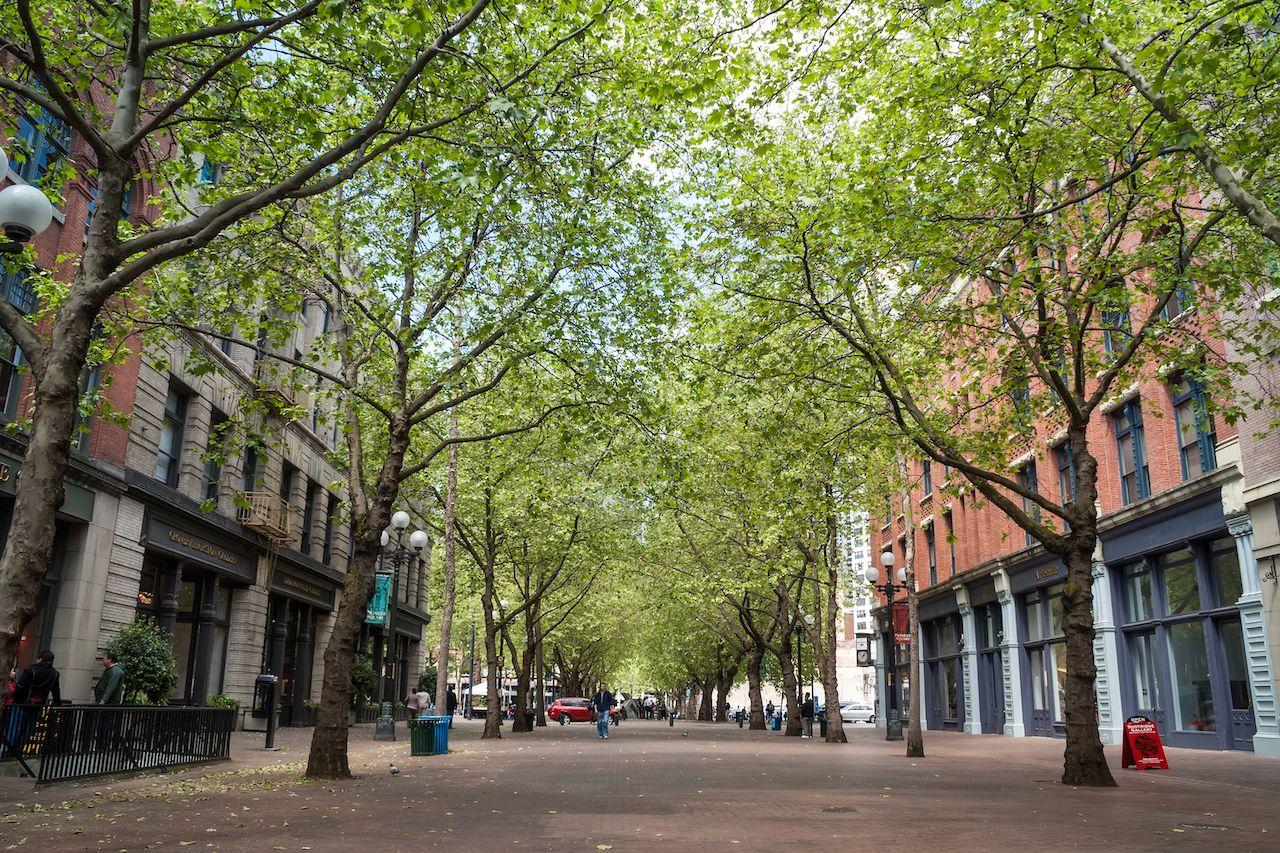 Occidental Avenue