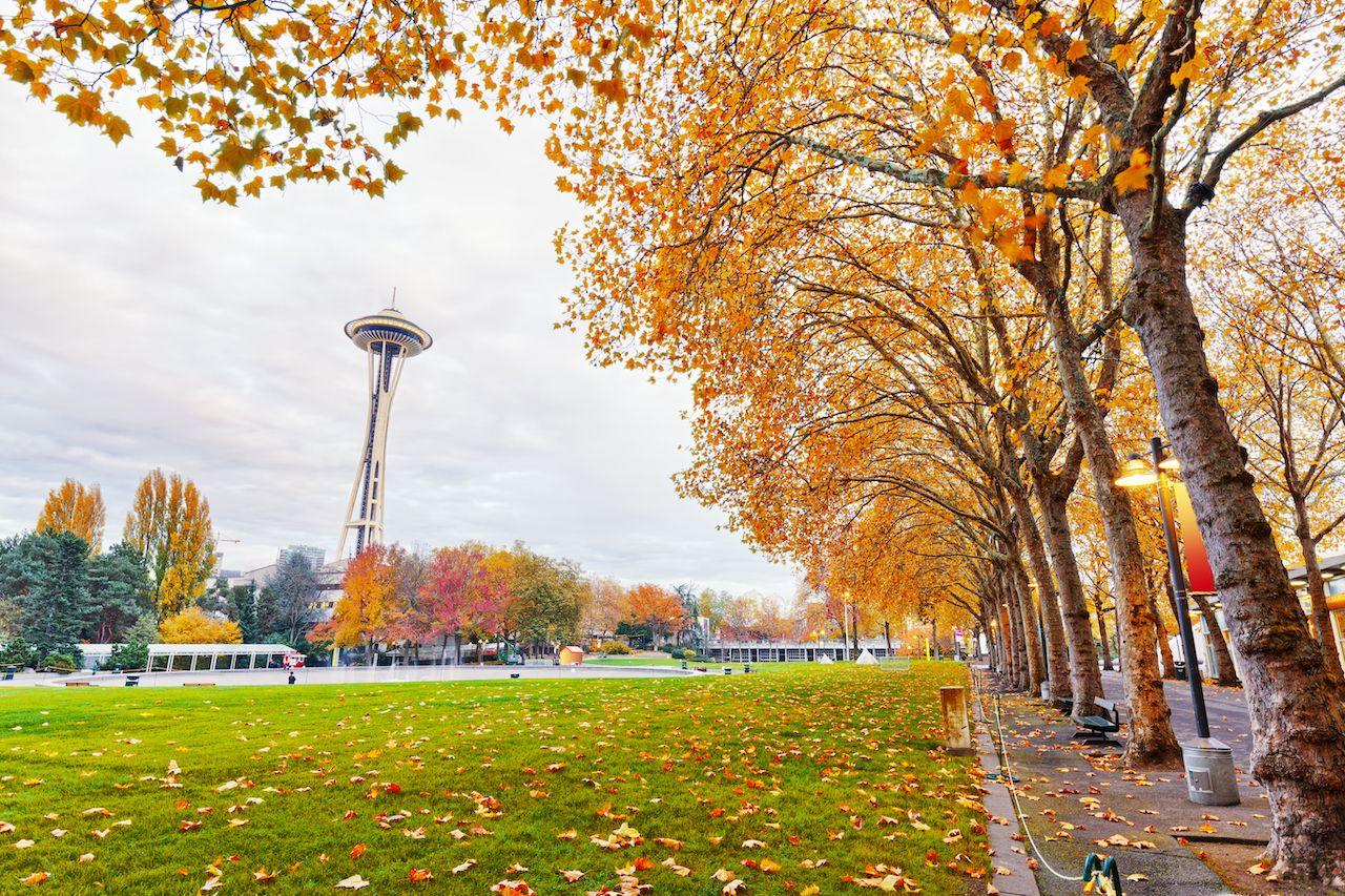Landschaft des Seattle Center in der Nähe des Space Needle