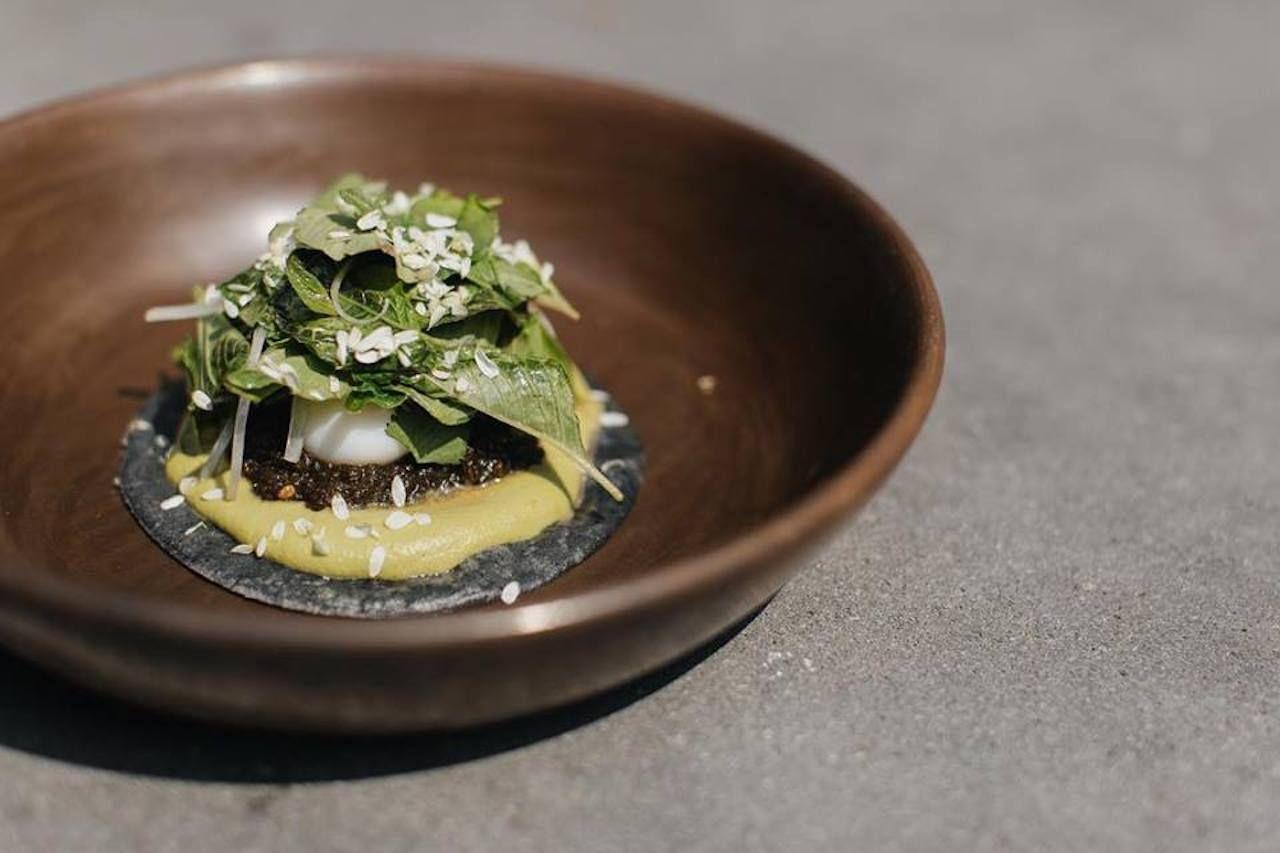 Aufwändig angerichtetes mexikanisches Essen aus einem gehobenen Restaurant in Mexiko-Stadt