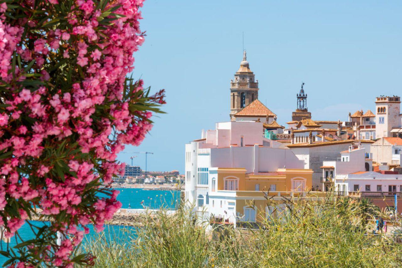 Oleandro in fiore contro lo sfondo del centro storico di Sitges, Barcellona, Catalogna, Spagna