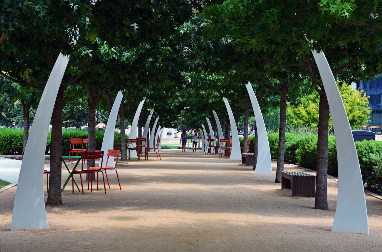 Alberi di Quercia Live nel parco Klyde Warren nel centro di Dallas