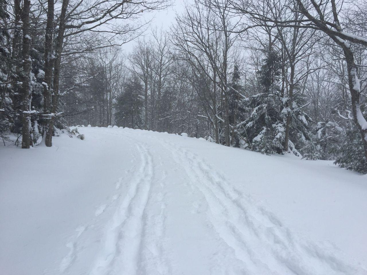 Winteraktivitäten