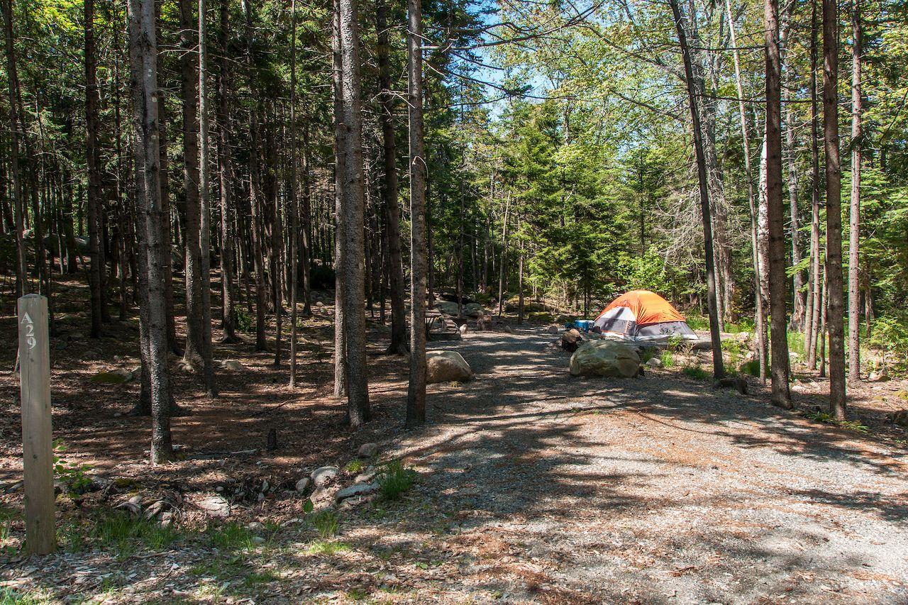Camping e Trekking